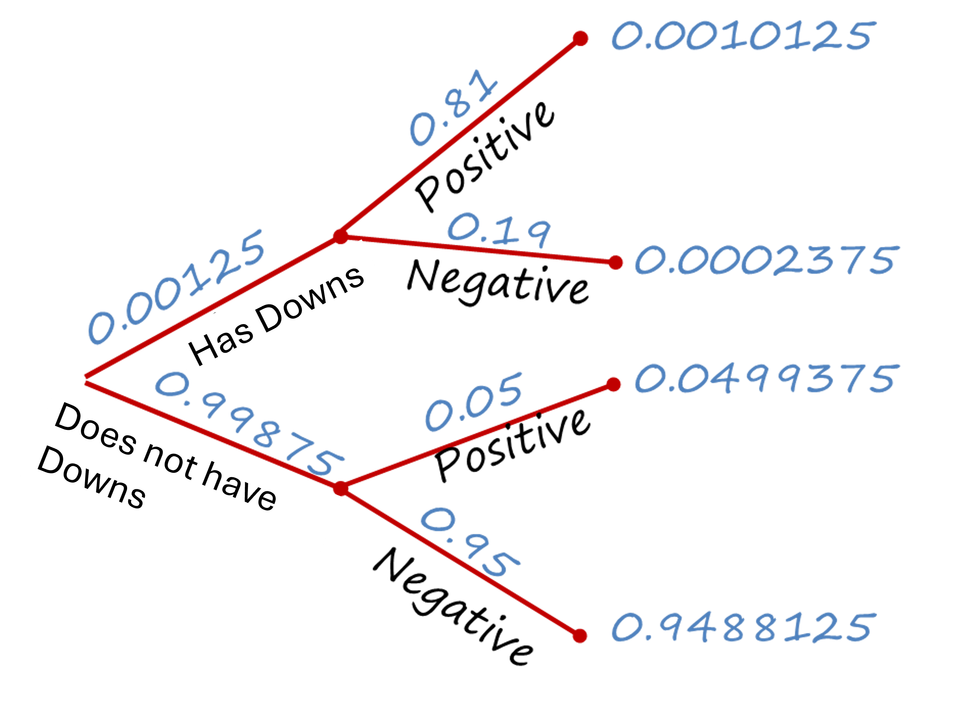 Branching Tree diagram representing different potential events (down syndrom yes or no) and result of the test conditional on having or not having Downs syndrome. The probability of each branch is determined by multiplying the probabilities of the first event (down syndrom yes or no) by the conditional probabilities of the second event (testing positive given one has or does not have Downs syndrome).