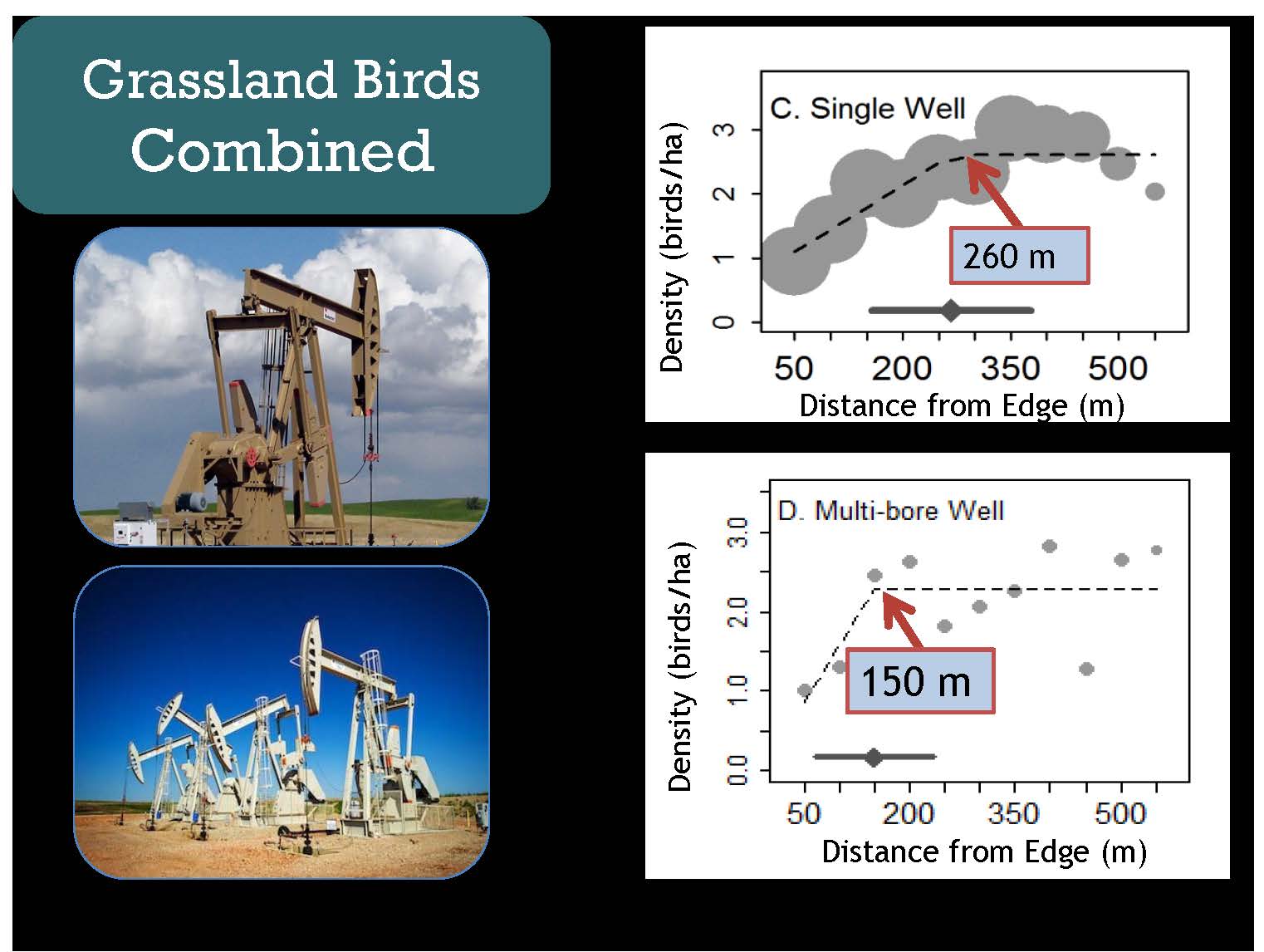 Picture of a white-tailed deer in deep snow.