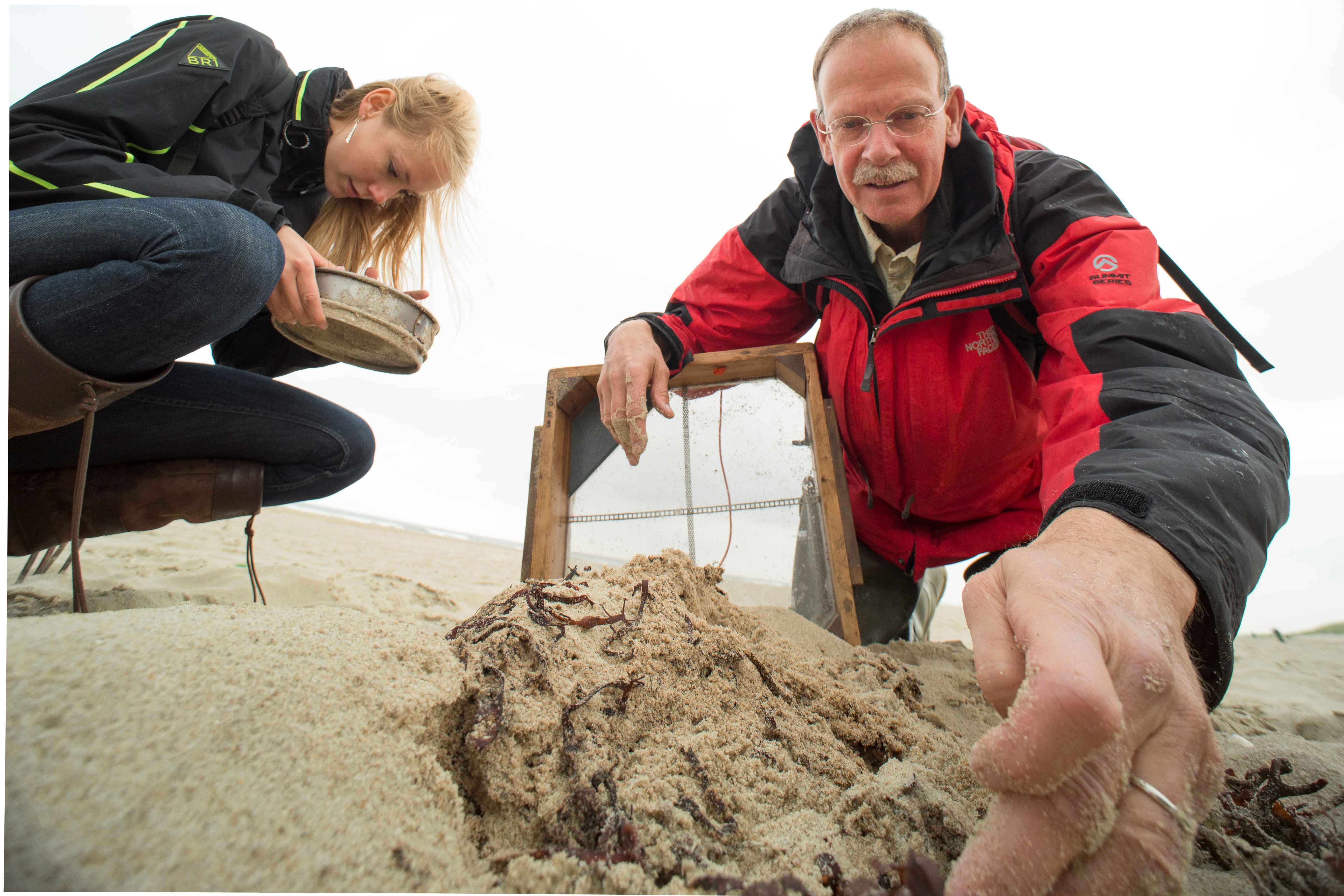 Picture of Gerard janssen and his crew sampling on the beach
