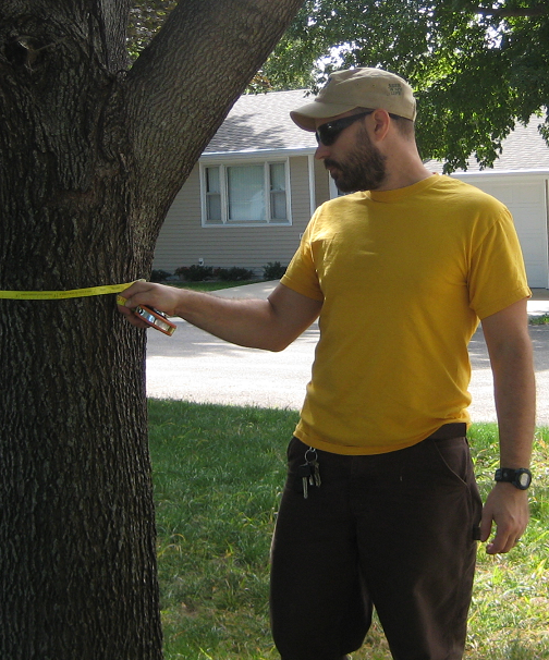 Picture of Eric North measuring diameter at breast height (left) and trunk flare (right).
