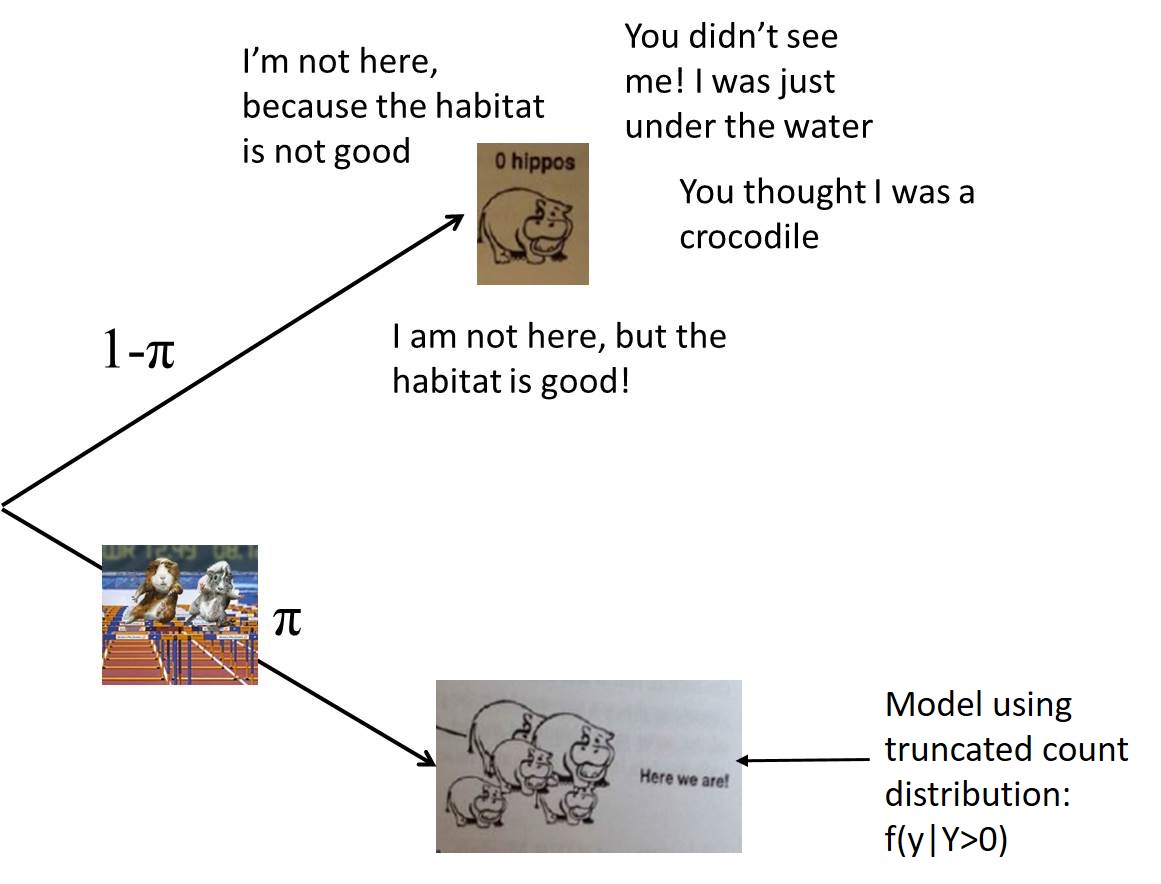 Branching diagram for a hurdle model. The top branch, with probability 1-pie, represents zeros due to the unsuitable habitat, or individuals not detected becuase they are under water or just not in good habitat.
