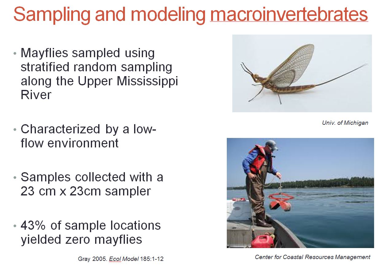 Slide from Matt Russel highlighting research from Gray et al. 2005 in which they sampled macroinvertebrates with 43% of their samples having 0 individuals.