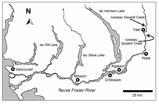 Picture of sockeye salmon (left) and a map of British Columbia showing the Fraser River (right)