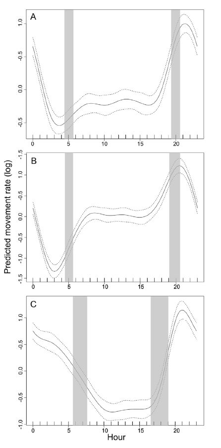 Smooth trends in black bear movement rates estimated using cyclical cubic splines to ensure the ends of the curves meet at 0 and 24 hours.