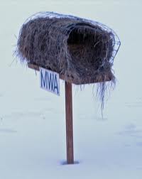 Picture of a single-cylinder mallard nest box.
