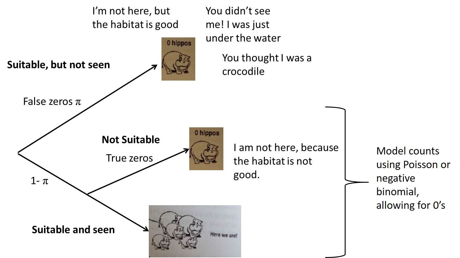 Branching diagram for a zero-inflation model. The first branch, with probability pie, represents zeros due to  suitable habitat but in which individuals were not seen. The second branch allows for additional zeros associated with unsuitable habitat as well as positive counts.