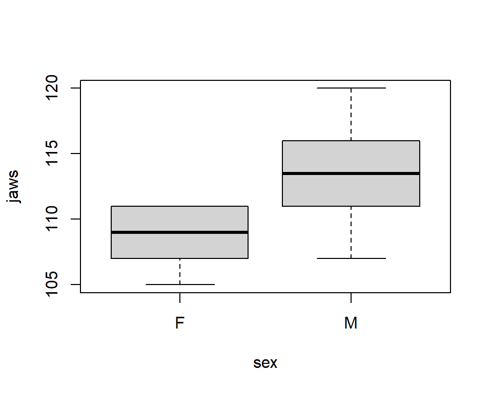 Side-by-side boxplots of jawlengths for males and females. Males appear to have larger and more variable jaw lengths.